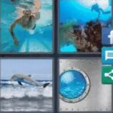4 PICS 1 WORD ANSWERS 7 LETTERS aquatic