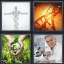 4 PICS 1 WORD ANSWERS 7 LETTERS biology
