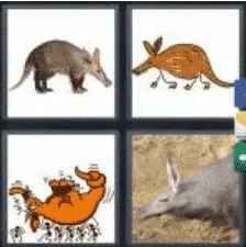 4 PICS 1 WORD ANSWERS 8 LETTERS aardvark