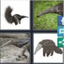 4 PICS 1 WORD ANSWERS 8 LETTERS anteater