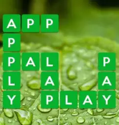 wordscapes dew 5 level 25 answers