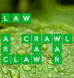 wordscapes dew 8 level 28 answers