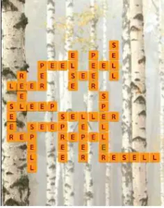 Wordscapes Birch 6 Level 2982 answers
