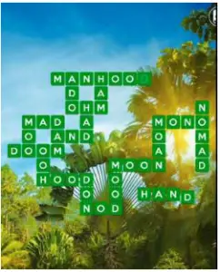 Wordscapes Frond 13 Level 3101 answers