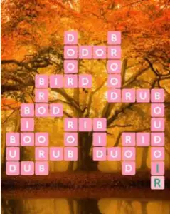 Wordscapes Grove 6 Level 5190 answers