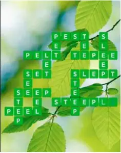 Wordscapes Leaf 8 Level 3864 answers