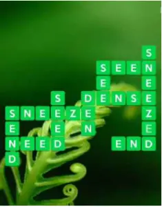 Wordscapes Wild 1 Level 673 answers