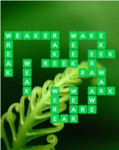 Wordscapes Wild 16 Level 688 answers