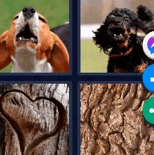4 Pics 1 Word Level 10 Answers Puzzle 2021