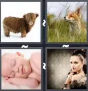 4 Pics 1 Word Level 116 Answers