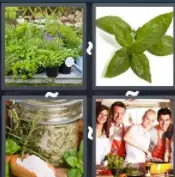 4 Pics 1 Word Level 119 Answers