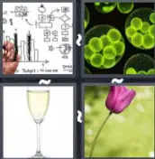 4 Pics 1 Word Level 125 Answers