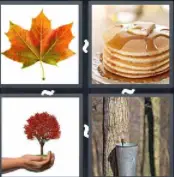 4 Pics 1 Word Level 136 Answers