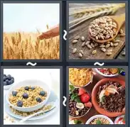 4 Pics 1 Word Level 1447 Answers