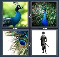 4 Pics 1 Word Level 1480 Answers