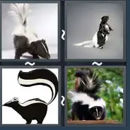 4 Pics 1 Word Level 1510 Answers