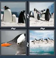 4 Pics 1 Word Level 1519 Answers