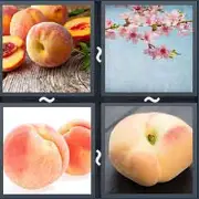 4 Pics 1 Word Level 1527 Answers