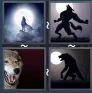 4 Pics 1 Word Level 1537 Answers