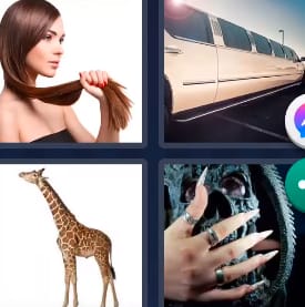 4 Pics 1 Word Level 24 Answers 2021