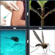 4 Pics 1 Word Level 2888 Answers