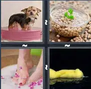 4 Pics 1 Word Level 3018 Answers