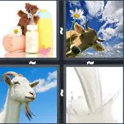 4 Pics 1 Word Level 3039 Answers