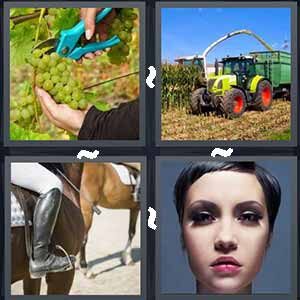 4 Pics 1 Word Level 311 Answers