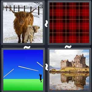 4 Pics 1 Word Level 317 Answers