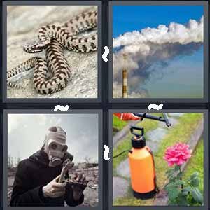 4 Pics 1 Word Level 326 Answers