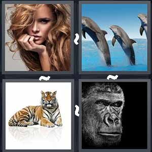 4 Pics 1 Word Level 343 Answers
