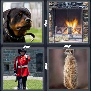 4 Pics 1 Word Level 372 Answers