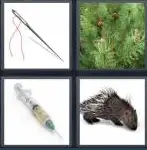 4 Pics 1 Word Level 4334 Answers