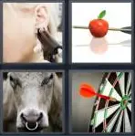 4 Pics 1 Word Level 4341 Answers