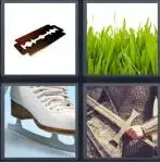 4 Pics 1 Word Level 4356 Answers