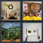 4 Pics 1 Word Level 4381 Answers