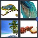 4 Pics 1 Word Level 4399 Answers