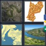 4 Pics 1 Word Level 4408 Answers