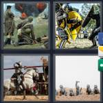 4 Pics 1 Word Level 4419 Answers