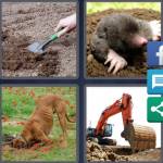 4 Pics 1 Word Level 4427 Answers