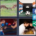 4 Pics 1 Word Level 4437 Answers