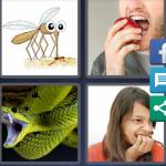4 Pics 1 Word Level 4452 Answers