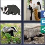 4 Pics 1 Word Level 4457 Answers