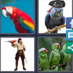 4 Pics 1 Word Level 4460 Answers