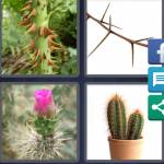 4 Pics 1 Word Level 4482 Answers