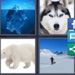 4 Pics 1 Word Level 4499 Answers