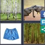 4 Pics 1 Word Level 4516 Answers