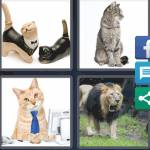 4 Pics 1 Word Level 4524 Answers