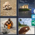 4 Pics 1 Word Level 4537 Answers