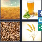 4 Pics 1 Word Level 4556 Answers